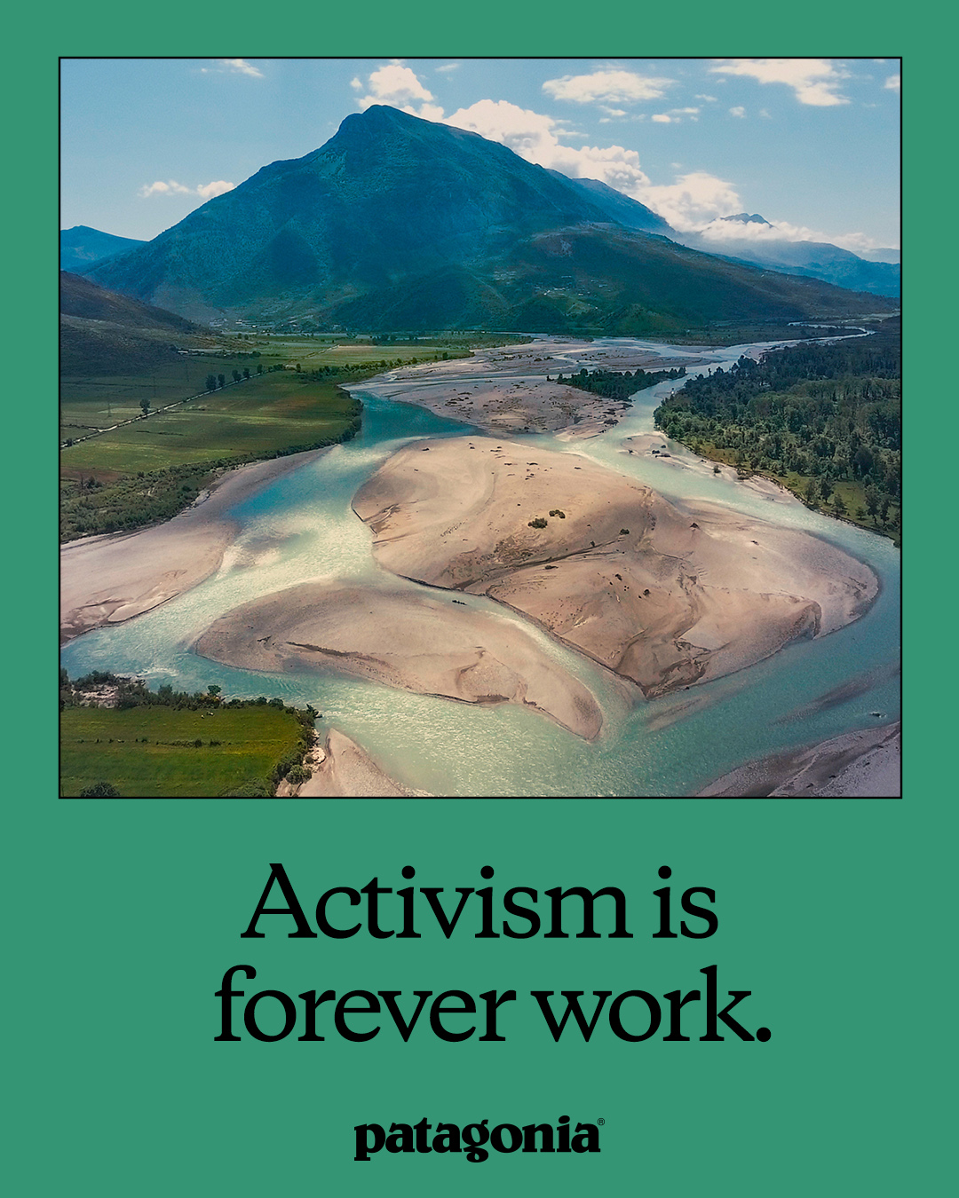Progress Report — Activism is Forever Work