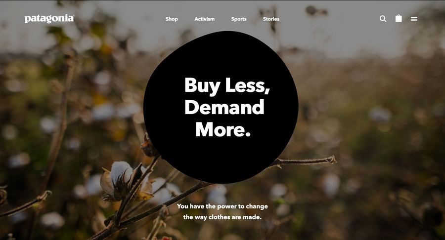 Patagonia Buy Less Demand More